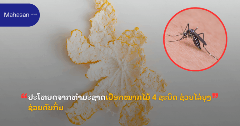 ປະໂຫຍດຈາກທຳມະຊາດເປືອກໝາກໄມ້ 4 ຊະນິດ ຊ່ວຍໄລ່ຍຸງ ດັບກິ່ນ