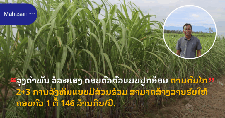 ລຸງຄໍາພັນ ວໍລະແສງ ຄອບຄົວຕົວແບບປູກອ້ອຍ ຕາມກົນໄກ 2+3 ການລົງທຶນແບບມີສ່ວນຮ່ວມ ສາມາດສ້າງລາຍຮັບໃຫ້ຄອບຄົວ 1 ຕື້ 146 ລ້ານກີບ/ປີ.