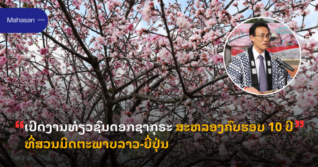 ເປີດງານທ່ຽວຊົມດອກຊາກຸຣະ ສະຫລອງຄົບຮອບ 10 ປີ ທີ່ສວນມິດຕະພາບລາວ-ຍີ່ປຸ່ນ