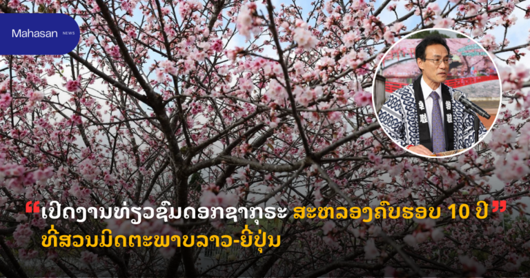 ເປີດງານທ່ຽວຊົມດອກຊາກຸຣະ ສະຫລອງຄົບຮອບ 10 ປີ ທີ່ສວນມິດຕະພາບລາວ-ຍີ່ປຸ່ນ