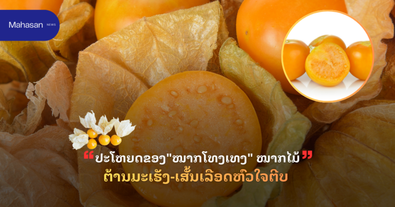 ປະໂຫຍດຂອງ"ໝາກໂທງເທງ" ໝາກໄມ້ ຕ້ານມະເຮັງ-ເສັ້ນເລືອດຫົວໃຈຕີບ