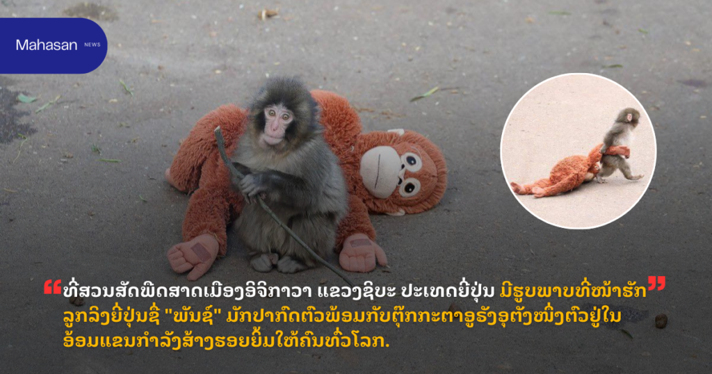 ທີ່ສວນສັດພືດສາດເມືອງອິຈິກາວາ ແຂວງຊິບະ ປະເທດຍີ່ປຸ່ນ ມີຮູບພາບທີ່ໜ້າຮັກລູກລິງຍີ່ປຸ່ນຊື່ "ພັນຊ໌" ມັກປາກົດຕົວພ້ອມກັບຕຸ໊ກກະຕາອູຣັງອຸຕັງໜຶ່ງຕົວຢູ່ໃນອ້ອມແຂນກຳລັງສ້າງຮອຍຍິ້ມໃຫ້ຄົນທົ່ວໂລກ.