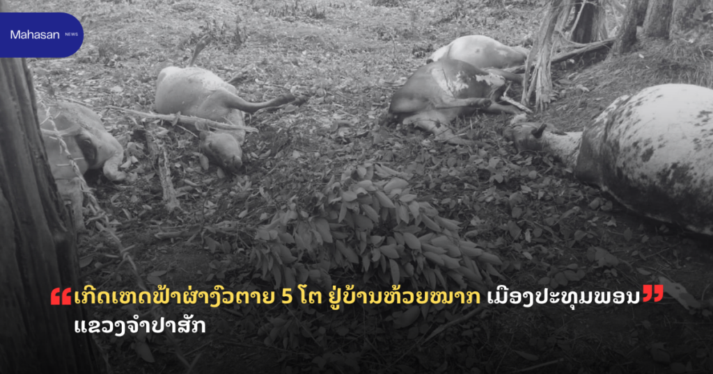 Jen - Mahasan Post (12)