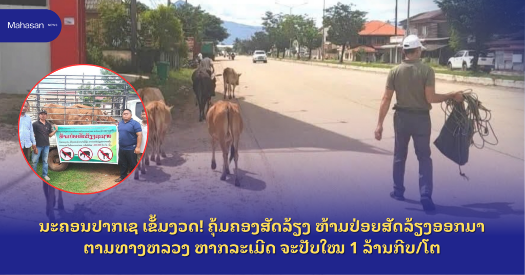 Jen - Mahasan Post (14)