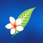 Lao Airlines ການບິນລາວ logo