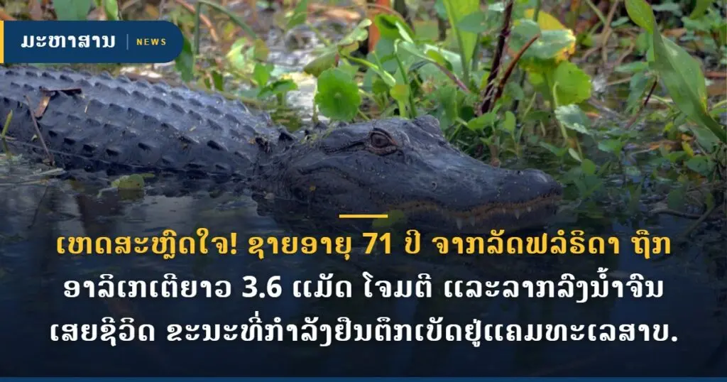ເຫດສະຫຼົດໃຈ! ຊາຍອາຍຸ 71 ປີ ຈາກລັດຟລໍຣິດາ ຖືກອາລິເກເຕີຍາວ 3.6 ແມັດ ໂຈມຕີ ແລະລາກລົງນ້ຳຈົນເສຍຊີວິດ ຂະນະທີ່ກຳລັງຢືນຕຶກເບັດຢູ່ແຄມທະເລສາບ.