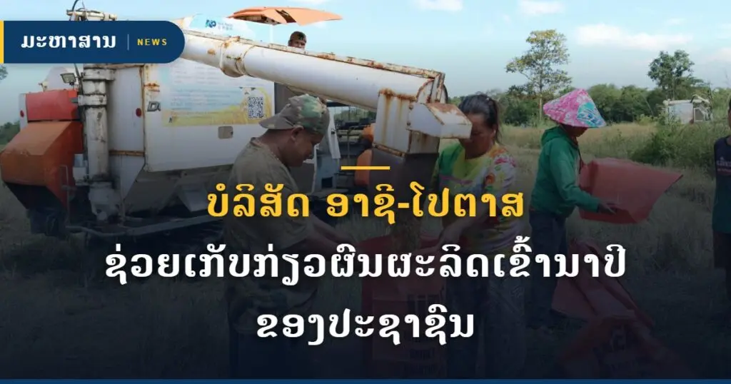 ບໍລິສັດ ອາຊີ-ໂປຕາສ ຊ່ວຍເກັບກ່ຽວຜົນຜະລິດເຂົ້ານາປີ ຂອງປະຊາຊົນ