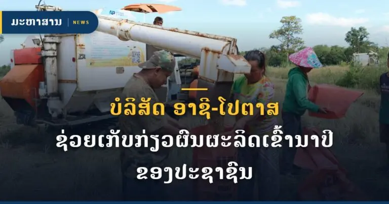 ບໍລິສັດ ອາຊີ-ໂປຕາສ ຊ່ວຍເກັບກ່ຽວຜົນຜະລິດເຂົ້ານາປີ ຂອງປະຊາຊົນ
